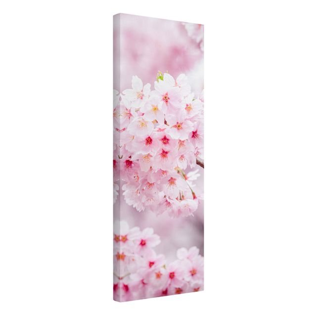 Prints floral Japanese Cherry Blossoms