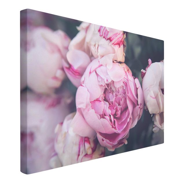 Floral picture Peony Blossom Shabby