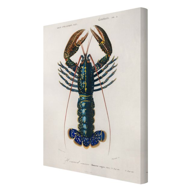 Prints Vintage Board Blue Lobster