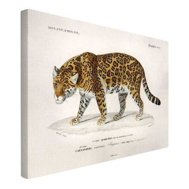 Tiger canvas Vintage Board Jaguar