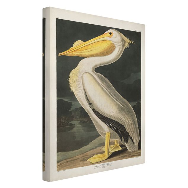 Animal wall art Vintage Board White Pelican