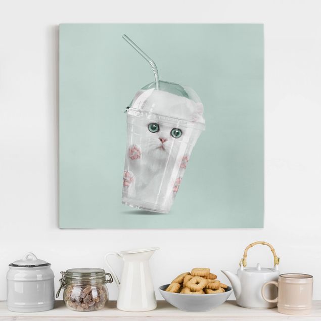 Kitchen Shake With Cat