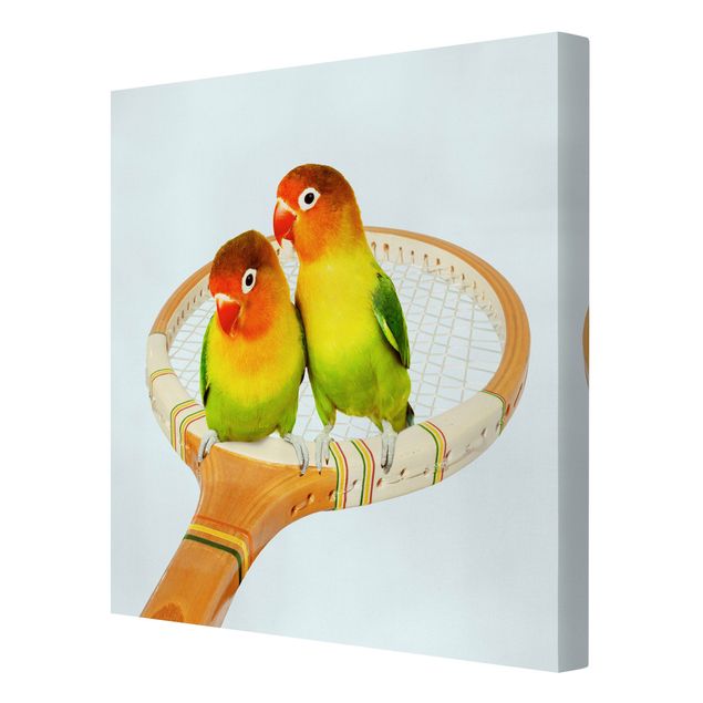 Prints animals Tennis With Birds