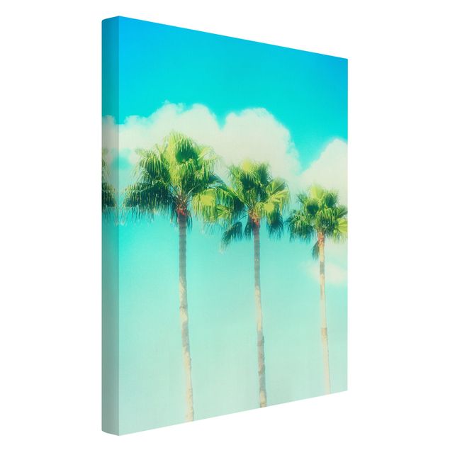 Canvas art Palm Trees Against Blue Sky