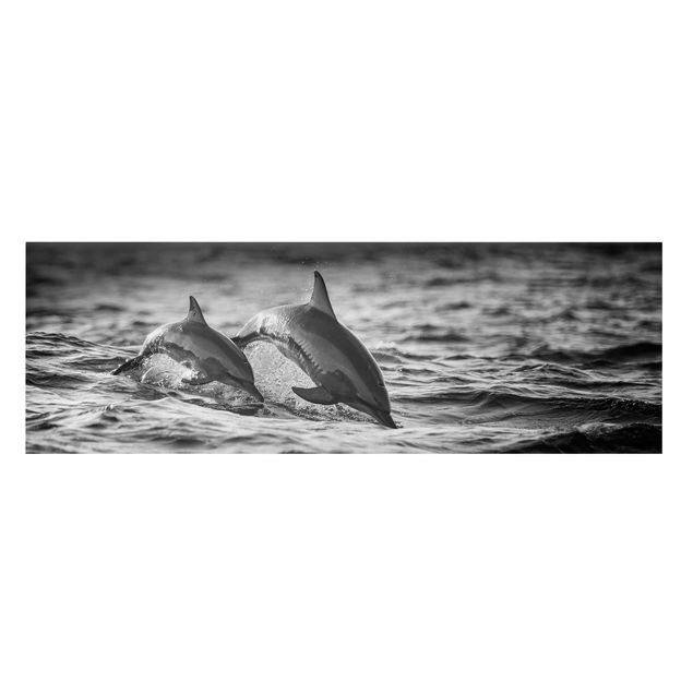 Animal wall art Two Jumping Dolphins