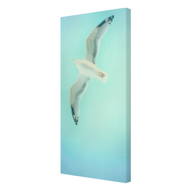Navy wall art Blue Sky With Seagull