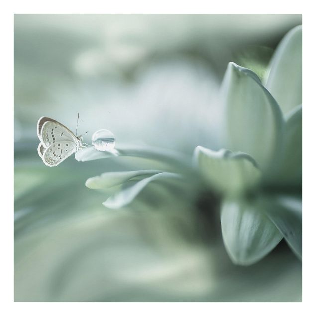 Prints animals Butterfly And Dew Drops In Pastel Green