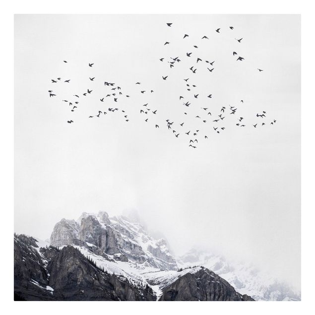 Canvas prints birds Flock Of Birds In Front Of Mountains Black And White