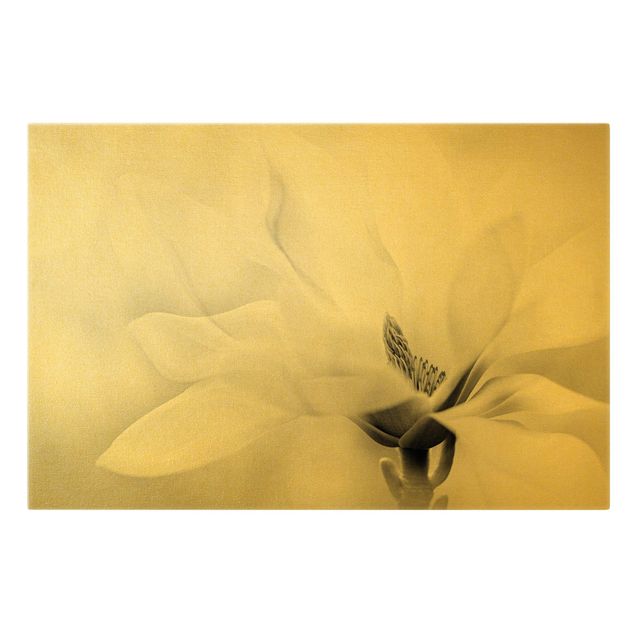 Prints Delicate Magnolia Flowers Black and White