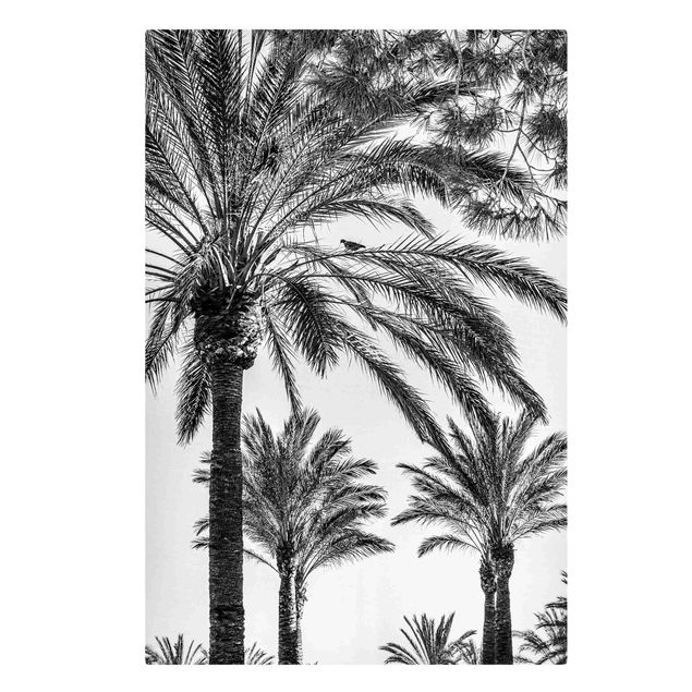 Canvas art Palm Trees At Sunset Black And White