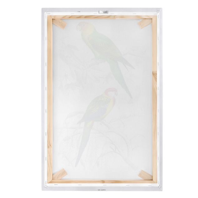 Prints Vintage Wall Chart Two Parrots Green Red