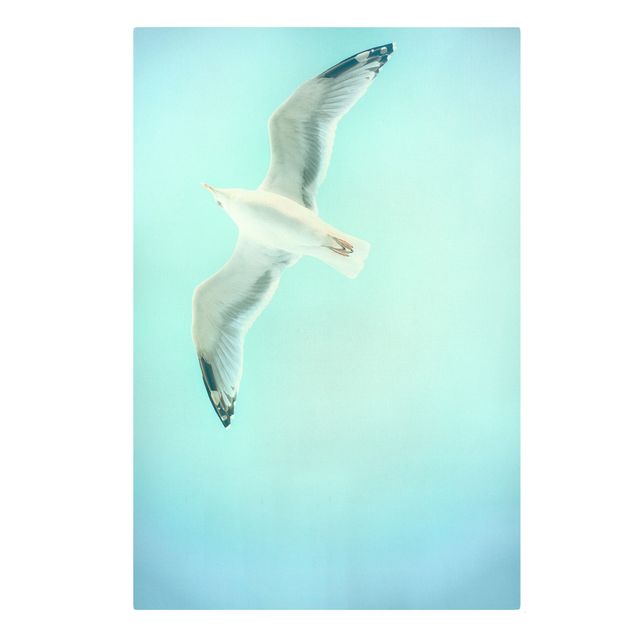 Prints animals Blue Sky With Seagull