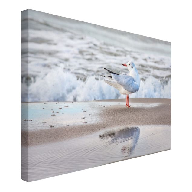 Bird canvas wall art Seagull On The Beach In Front Of The Sea