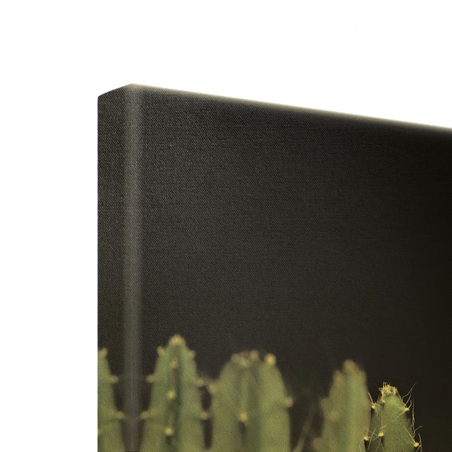 Monika Strigel Art prints Desert Cactus At Night