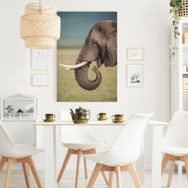 Prints elefant Feeding Elephants In Africa