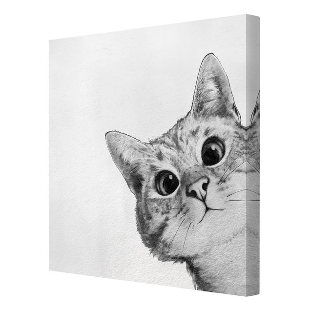 Canvas art Illustration Cat Drawing Black And White