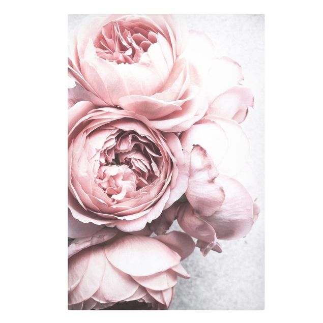Prints modern Light Pink Peony Flowers Shabby Pastel