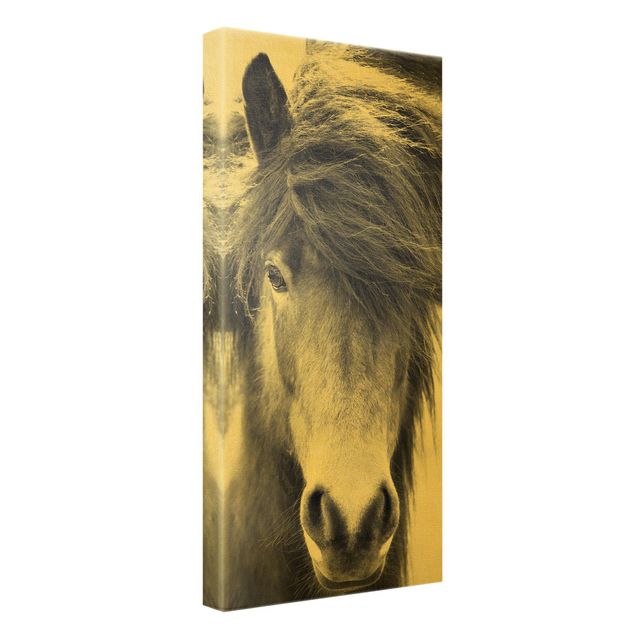 Canvas prints animals Icelandic Horse In Black And White