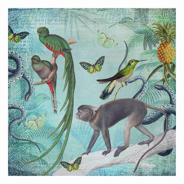 Print monkey designs Colonial Style Collage - Monkeys And Birds Of Paradise