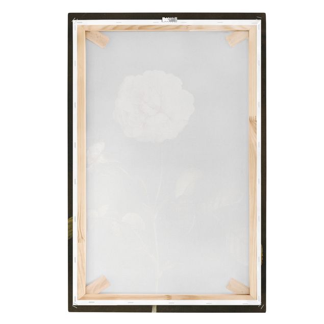 Prints brown Barbara Regina Dietzsch - French Rose With Bumblbee