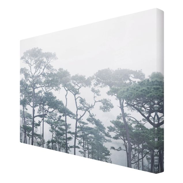 Nature wall art Treetops In Fog