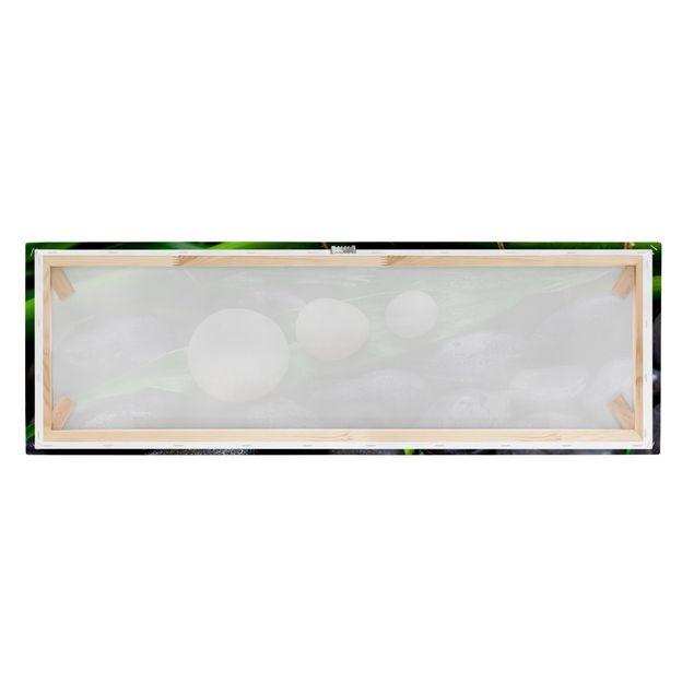 Floral canvas Green Bamboo With Zen Stones