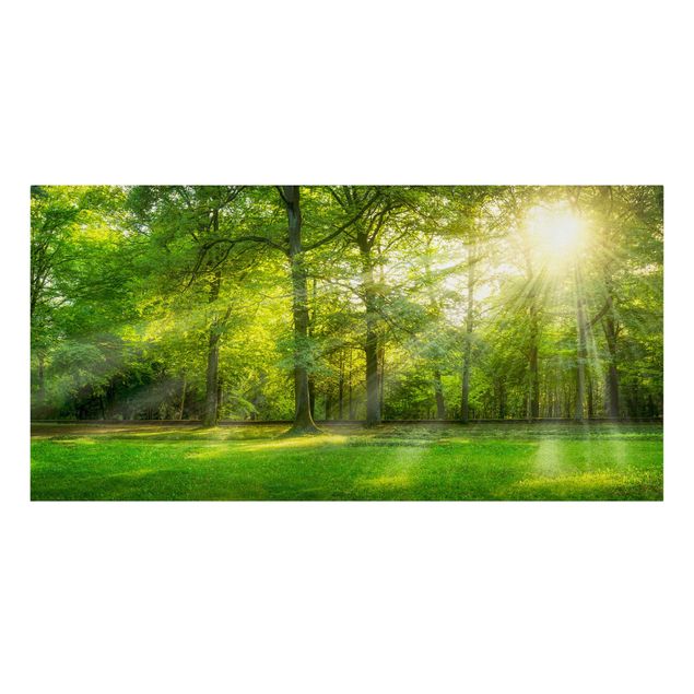 Canvas prints landscape Walk In The Woods