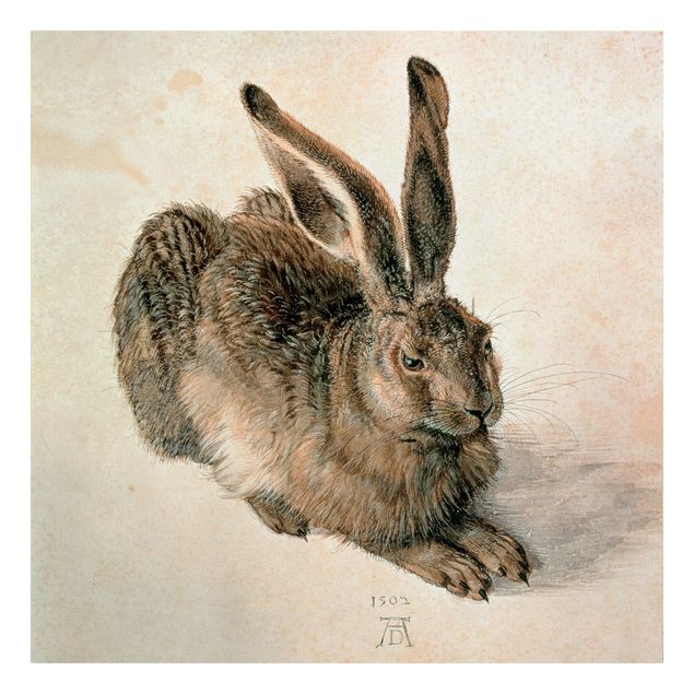 Vintage posters Albrecht Dürer - Young Hare