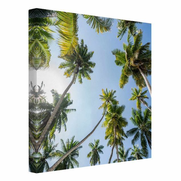 Canvas landscape Palm Tree Canopy