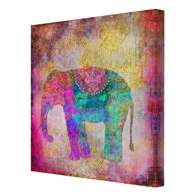 Prints animals Colourful Collage - Indian Elephant