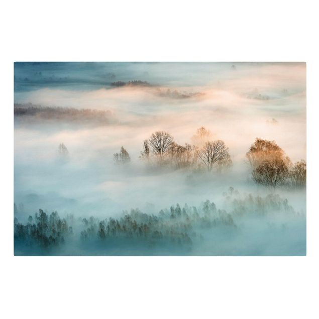 Prints modern Fog At Sunrise