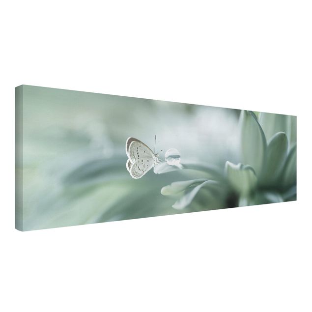Butterfly canvas Butterfly And Dew Drops In Pastel Green