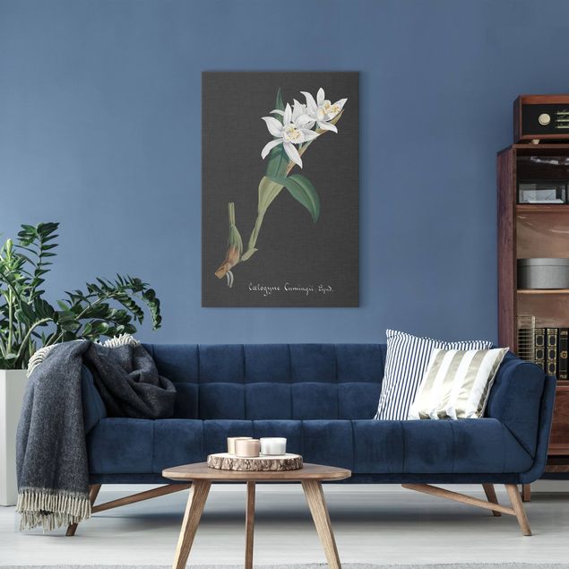 Orchid print White Orchid On Linen II