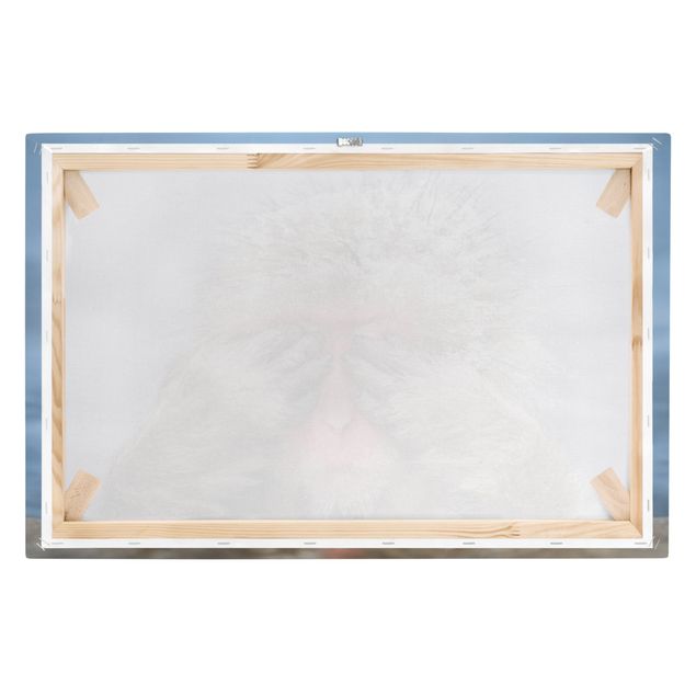 Prints brown Japanese Macaque