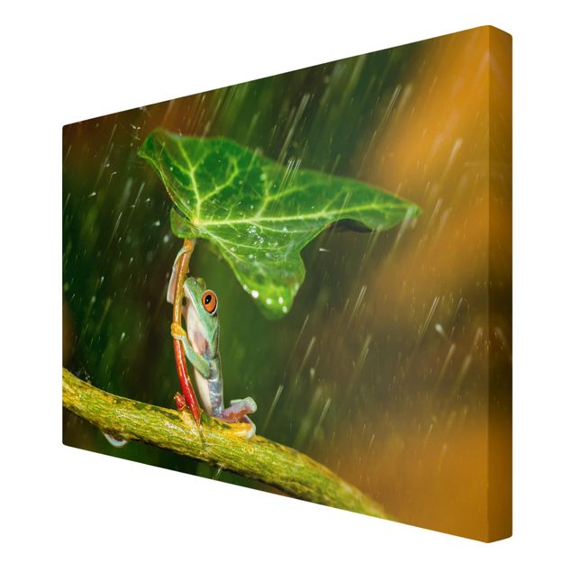 Green canvas wall art Frog In The Rain