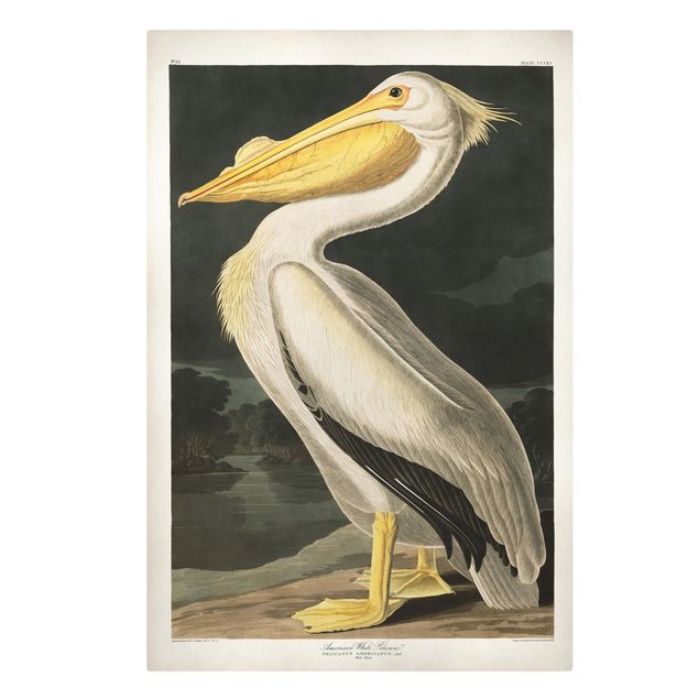 Retro wall art Vintage Board White Pelican