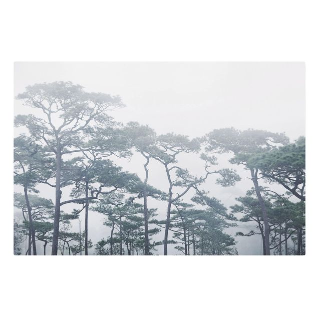 Canvas landscape Treetops In Fog