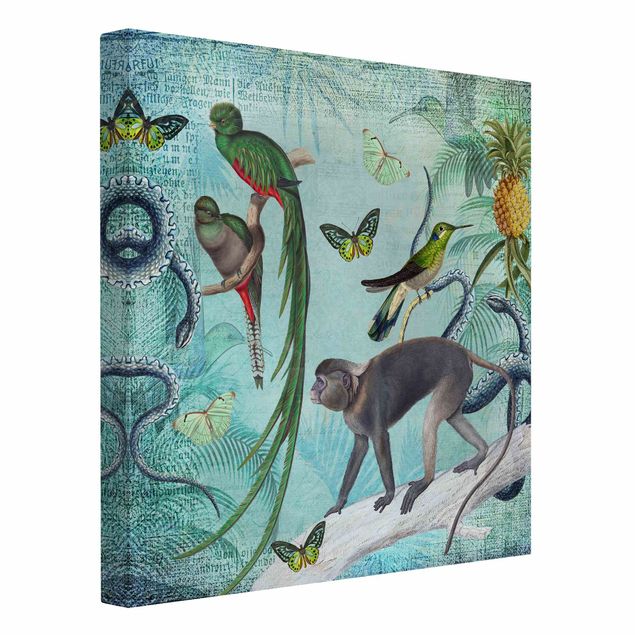 Canvas birds Colonial Style Collage - Monkeys And Birds Of Paradise