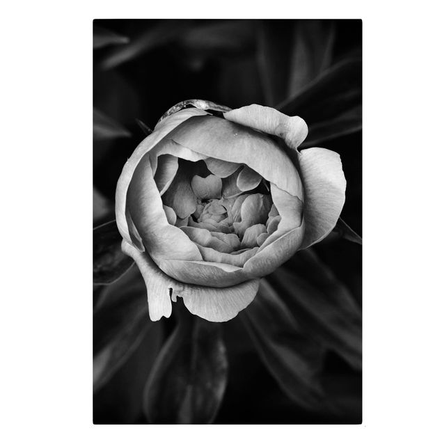 Floral prints Peonies In Front Of Leaves Black And White