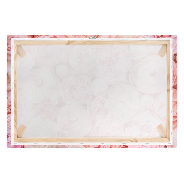 Canvas prints Roses Rosé Coral Shabby