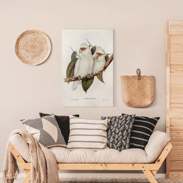 Canvas birds Vintage Illustration White Cockatoo