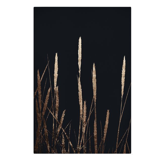 Canvas art Graphical Plant World - Golden Reed