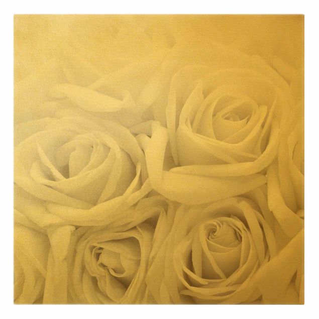 Prints modern White Roses