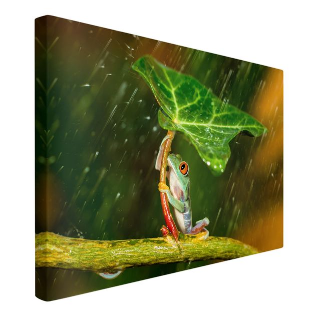 Prints floral Frog In The Rain