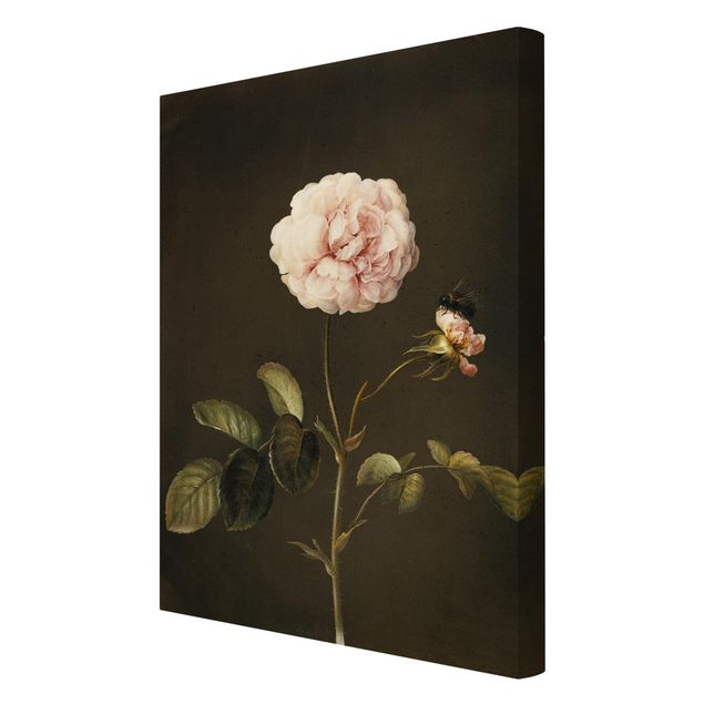 Flower print Barbara Regina Dietzsch - French Rose With Bumblbee