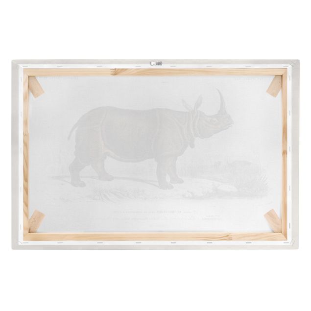 Prints brown Vintage Board Rhino