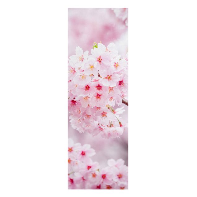 Floral prints Japanese Cherry Blossoms