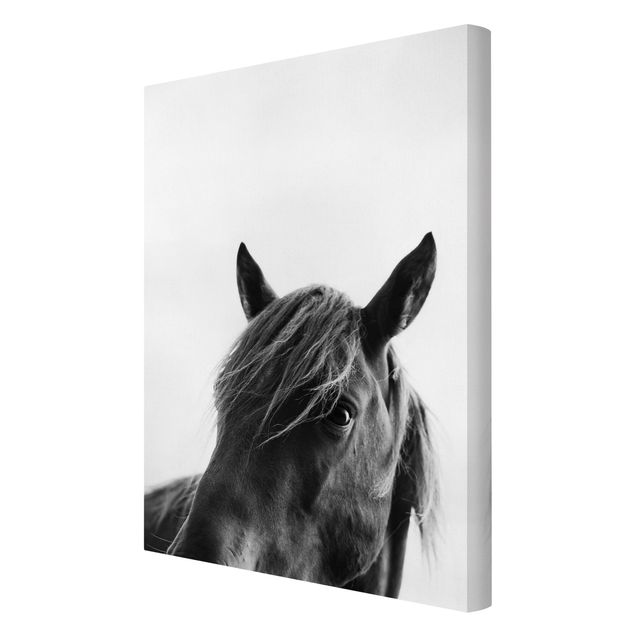 Black and white canvas art Curious Horse