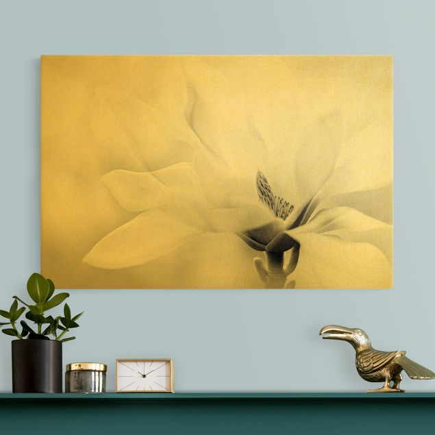 Floral canvas Delicate Magnolia Flowers Black and White