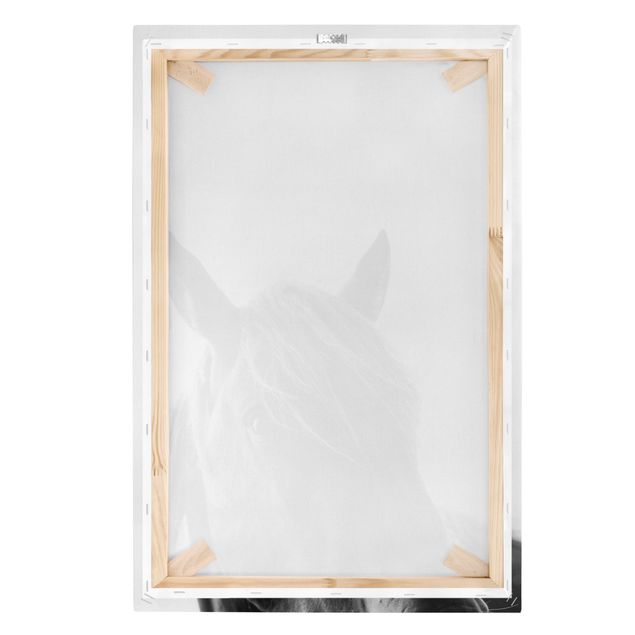 Black and white wall art Curious Horse